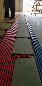 王 先生 的新家