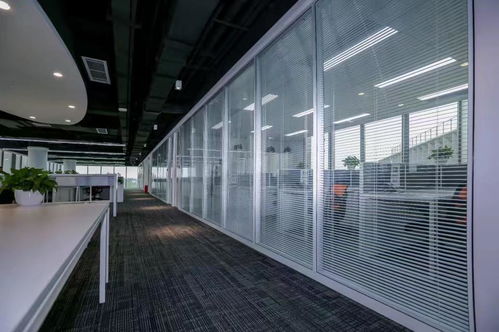 玻璃隔斷墻系統功能特點