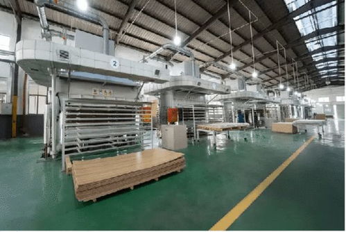 復盤云峰莫干山第二屆超品日 質造綠色家裝 推進enf級全民普及