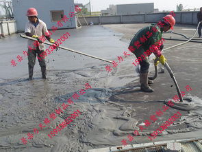 50 12mpa泵車細沙膠管混凝土泵車耐磨膠管起訂量