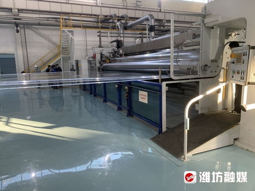 濱海區 厚植發展沃土 激發經濟活力