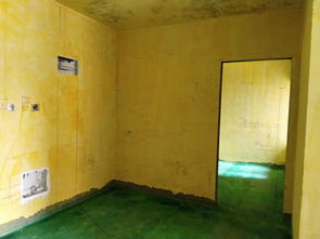 王 先生 的新家