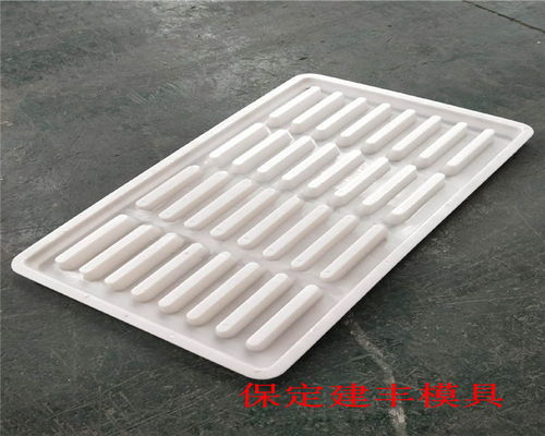 建豐生產(chǎn) 漏糞板模具的質量 漏糞板塑料模具加工工藝