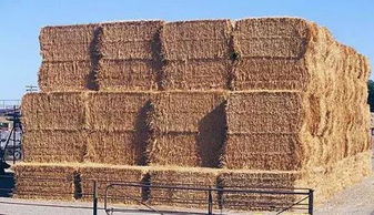 透明木頭你見過么 10大創意家具新材料